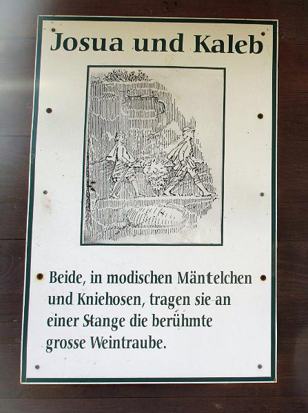 S-A (235).jpg